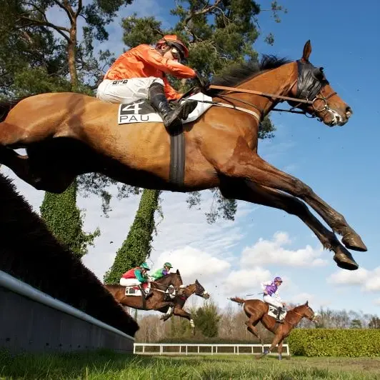 Hippodrome du Pont-Long - Pau