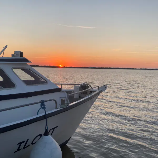 Croisière Terres d'Oiseaux - 800x600