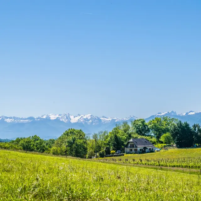 Le cap d'Arrandes - Arbus - Vue pyrénées 1