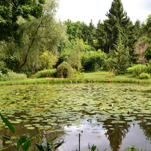 Arboretum AL GAULHIA_1