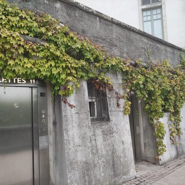 Toilettes château de Pau