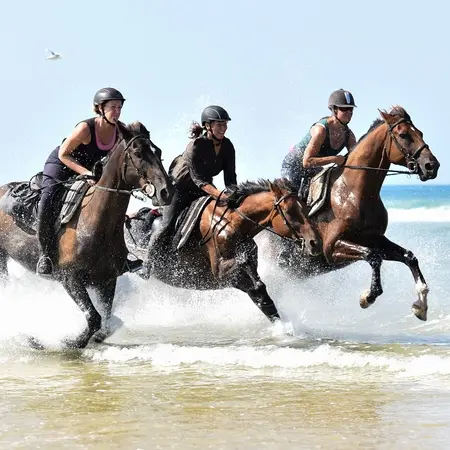 2019--Marina-equestre-1--Copier-