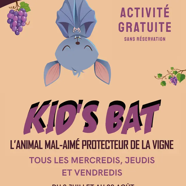 AFFICHES - 2026 KIDS BAT