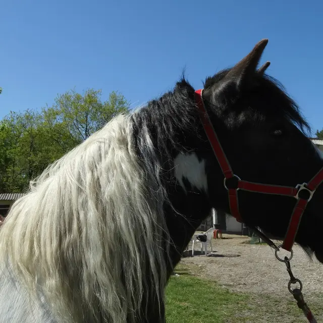 273739049_341932567940594_8091781402850018608_n