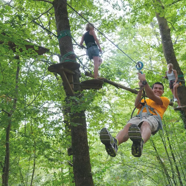 zip line experience in the forest