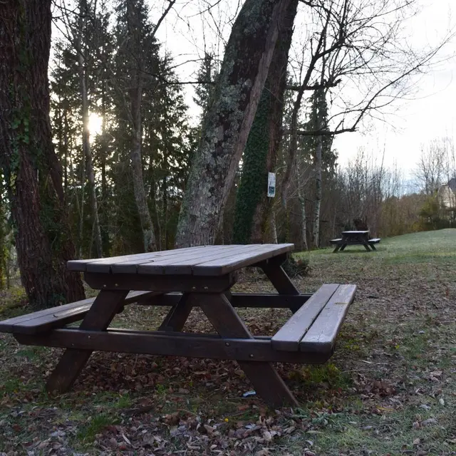 Aire de pique-nique - Bosdarros - table 2