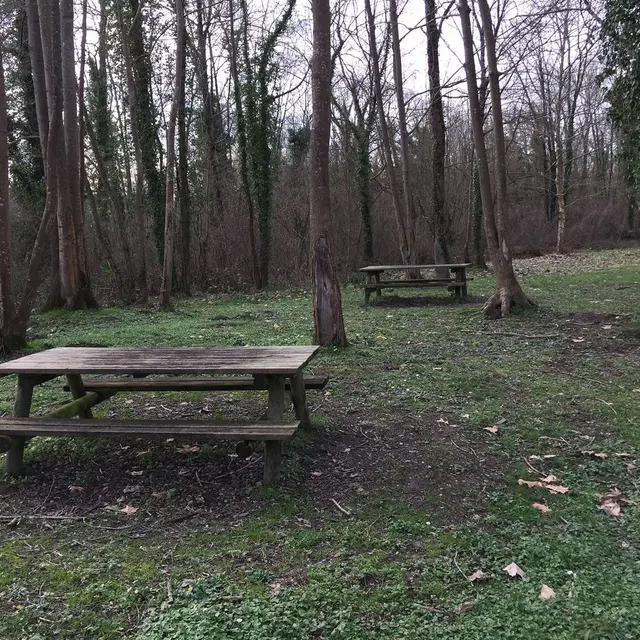 Aire de pique-nique - Siros - tables 1