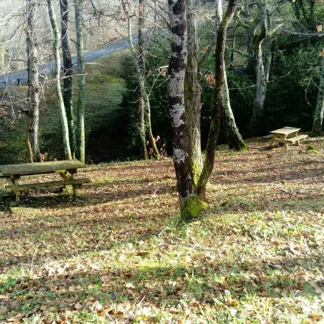 Aire pique nique - Aubertin - chemin de Pépic 1