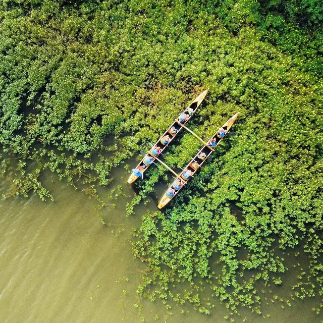 Au cœur de la nature