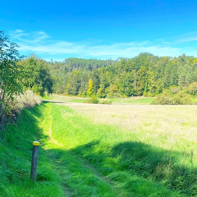 BIRAS-Boucle de Biras-Chemin-Poteau 2