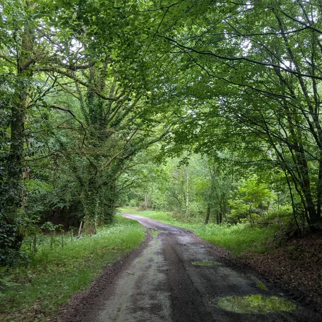 Chemin - La Turgotière VTT - Lacelle ©M Clavaud (9)