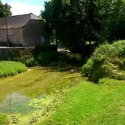 Colylepech1