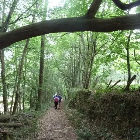 Copy-of-Fumel-Vallee-du-Lot--Asso-Les-Chemins-de-Thezac-Rando--6--3