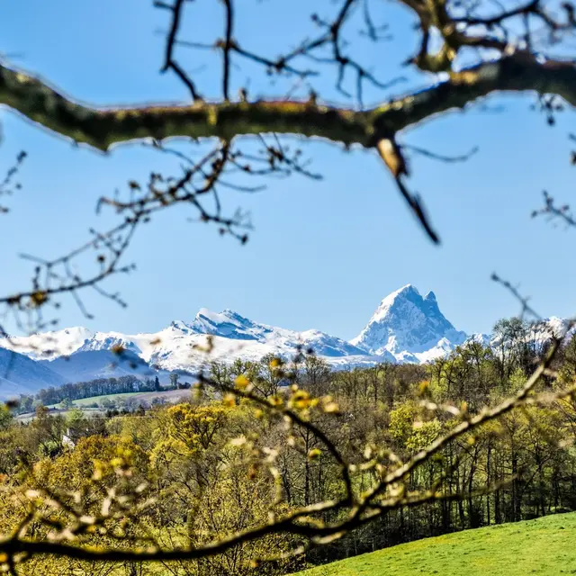 Gan - Côteau de Bastarrous - Le Pic du midi d'Ossau