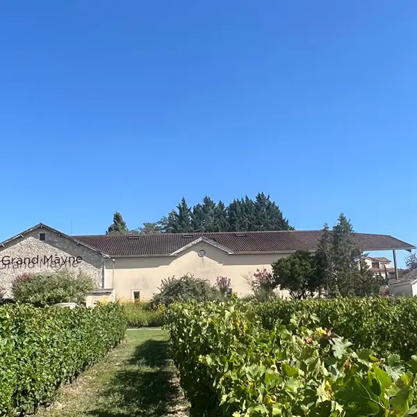 Domaine Grand Mayne 2024 (10)