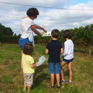 Domaine de perreau