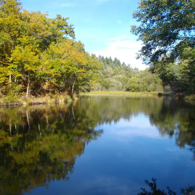 Etang_du_Maury