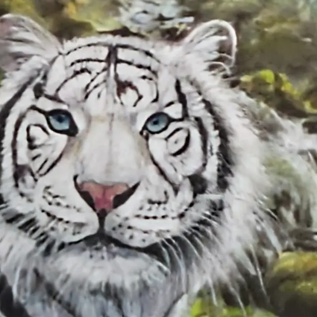 Expo-de-Pastels