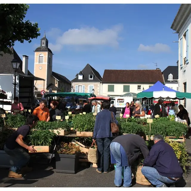 Bastide - Gan -  Marché hebdomadaire