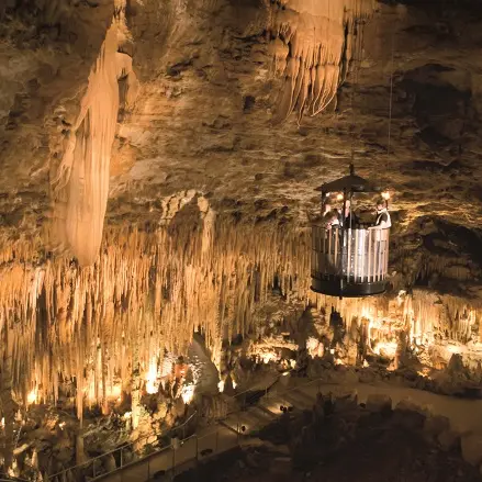 IMG-0152-ret-NVELLES-LUMIERES-100x55-3