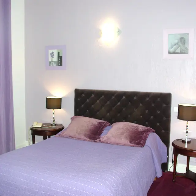 Hôtel Villa Montpensier - Pau - Chambre ouble mauve