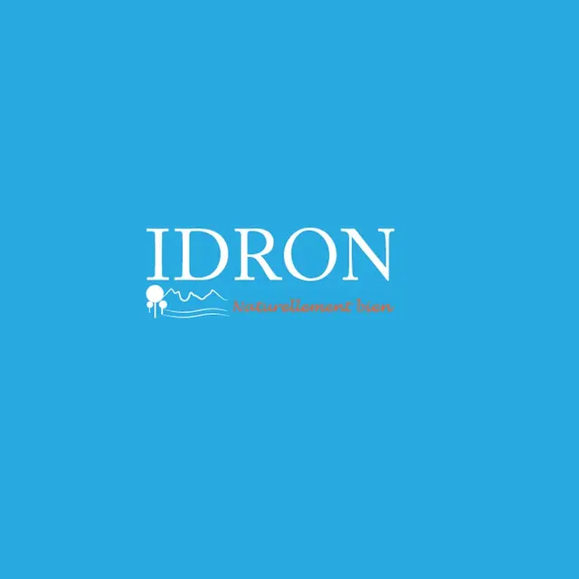 logo ville Idron