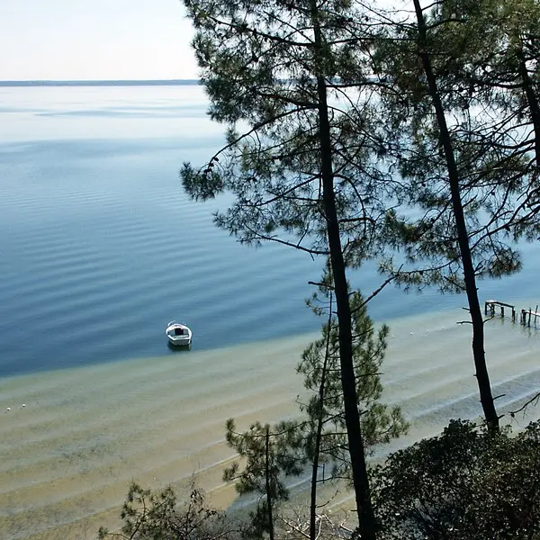 Lac de Cazaux