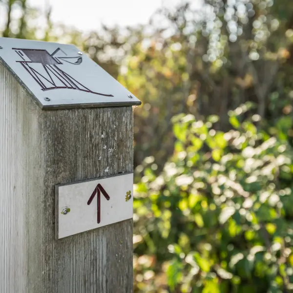 Les-mairais-de-Labarde1