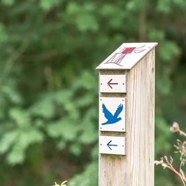 Les-marais-d-Arcins-Soussans1