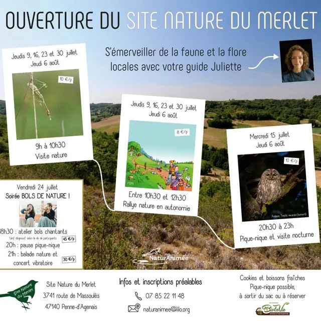 Merlet été