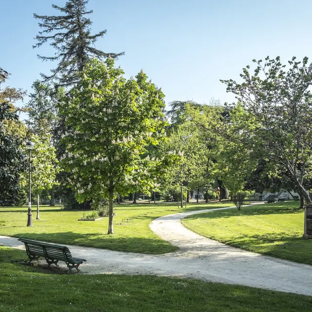 Parc Lawrance - Pau - Allée