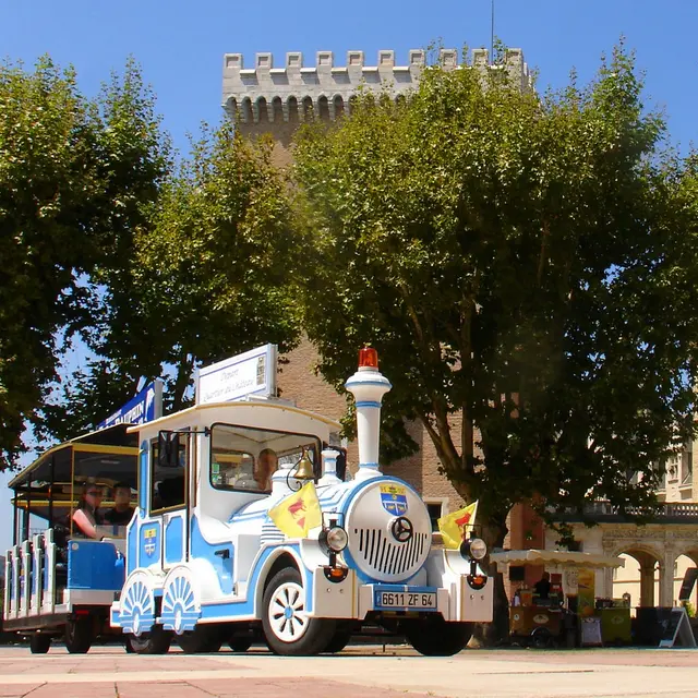 Le Petit Train de Pau - Pau - Train devant château