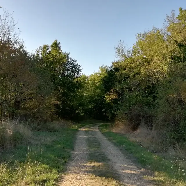 Prigonrieux - Claud de Bled (1)