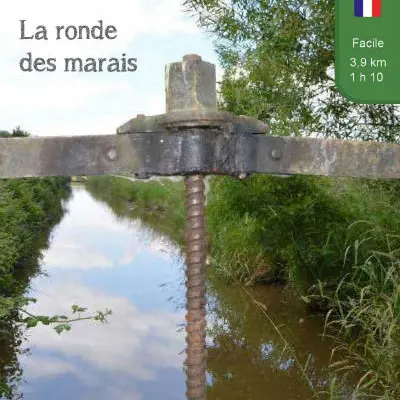 Ronde des marais pour Sirtaqui