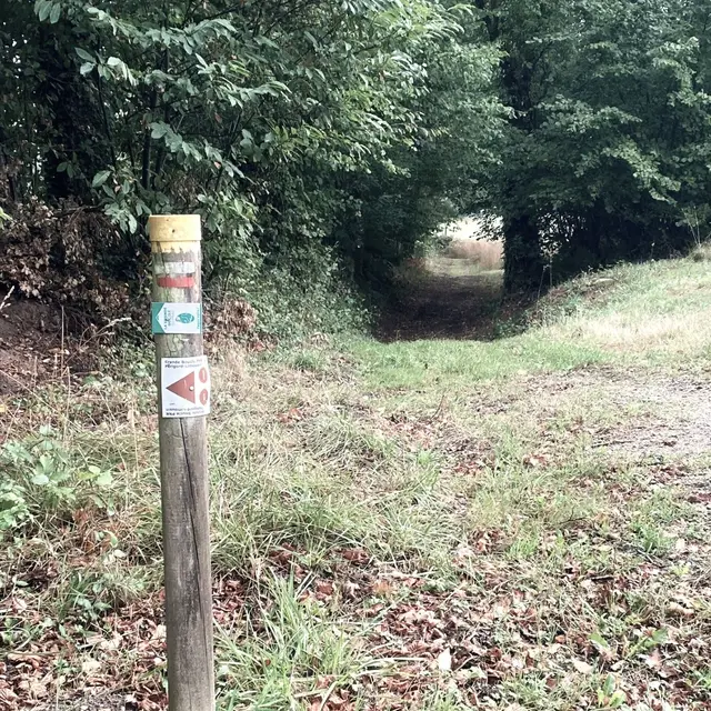 SAINT-SAUD-LACOUSSIERE-Boucle de la Valade-Chemin-Poteau