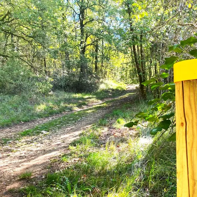 SAINTE-CROIX-DE-MAREUIL-Boucle de Sainte Croix-Chemin 2