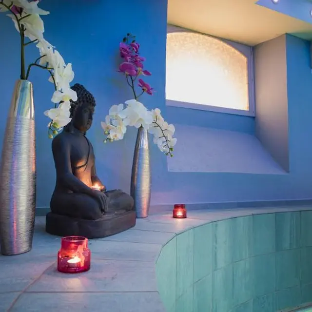 Spa Villa Navarre - Pau - bain