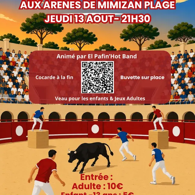 affiche toroball