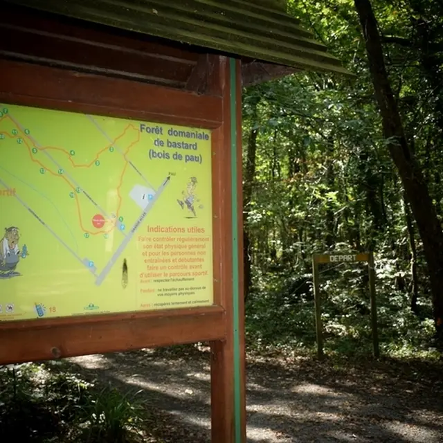 Forêt domaniale de Bastard - Pau - Plan parcours sportif