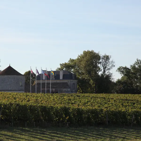 chateau-montdoyen (1)