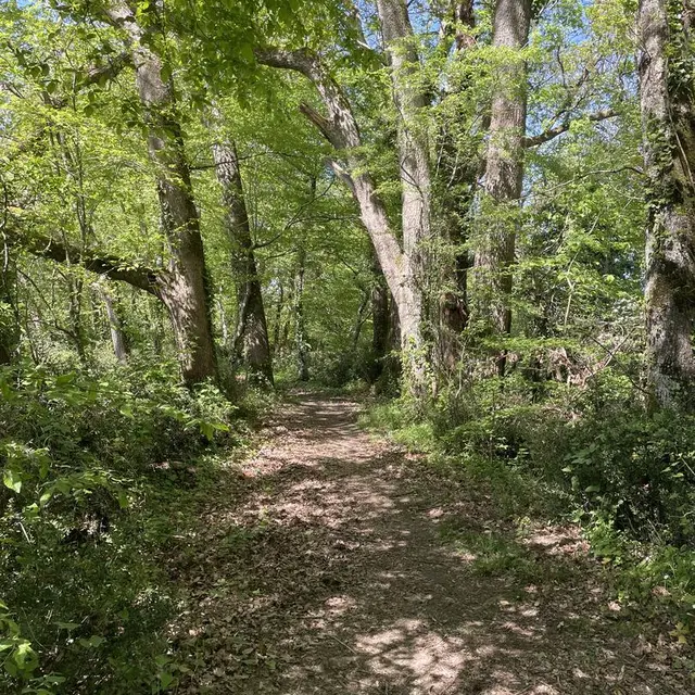 chemin2