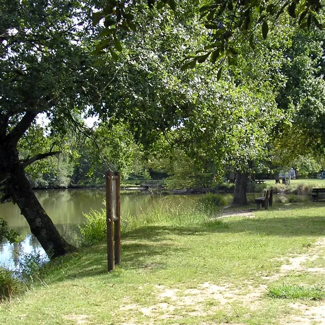 Le lac des Carolins 1