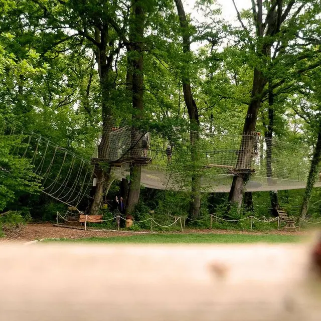 La Forêt des Vert'tiges - Pau - Parcours