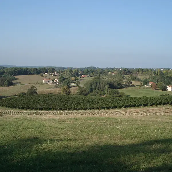 gineste-vue4