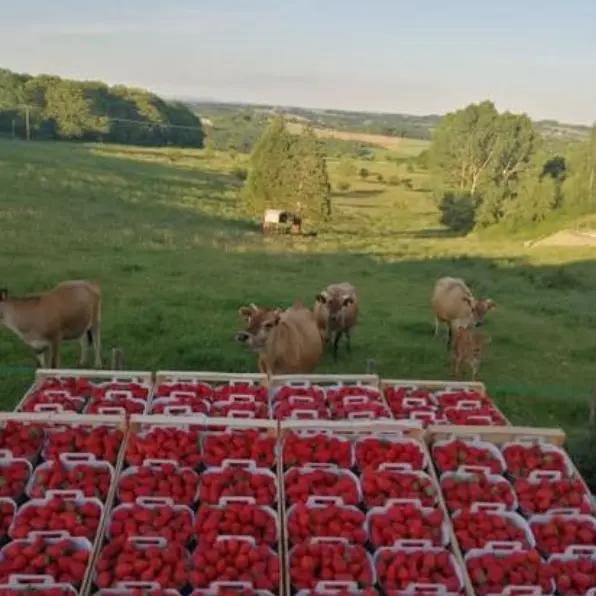 la-ferme-des-parettes-1