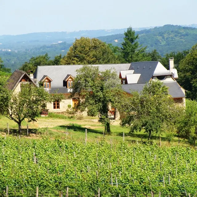 Meublé Causit - Aubertin - le jardin