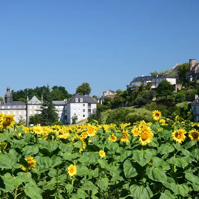 Lescar, cité nature - collège Barnabites