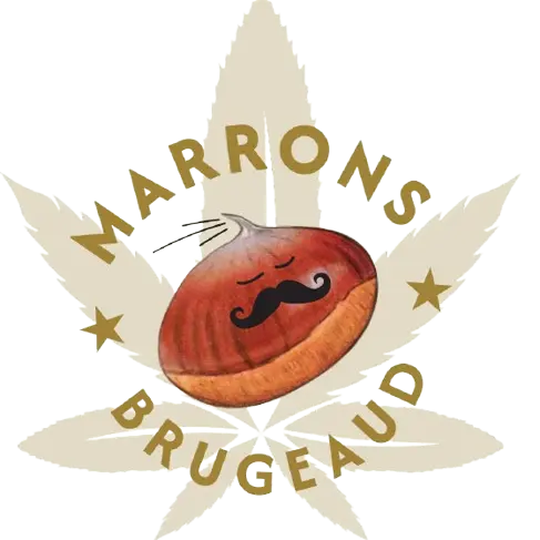 logo_marrons_Brugeaud-removebg-preview