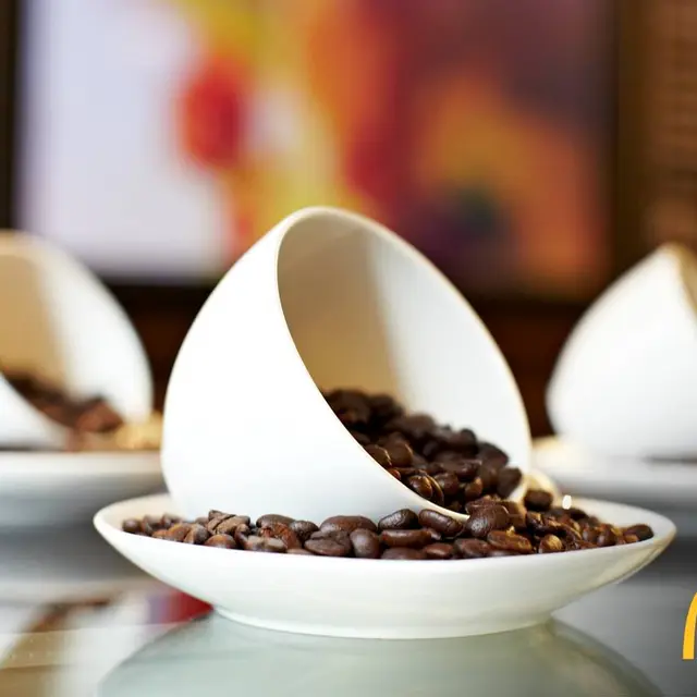 Restaurant Mc Donald's - Mazères - café