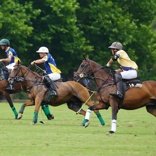 Médoc Polo tournament